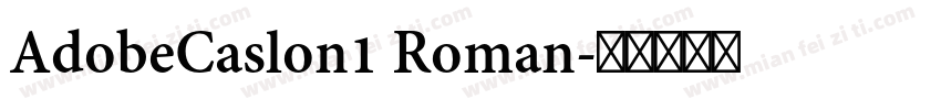 AdobeCaslon1 Roman字体转换
